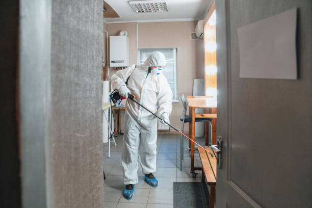 Best Basement Mold Removal  in Ferriday, LA